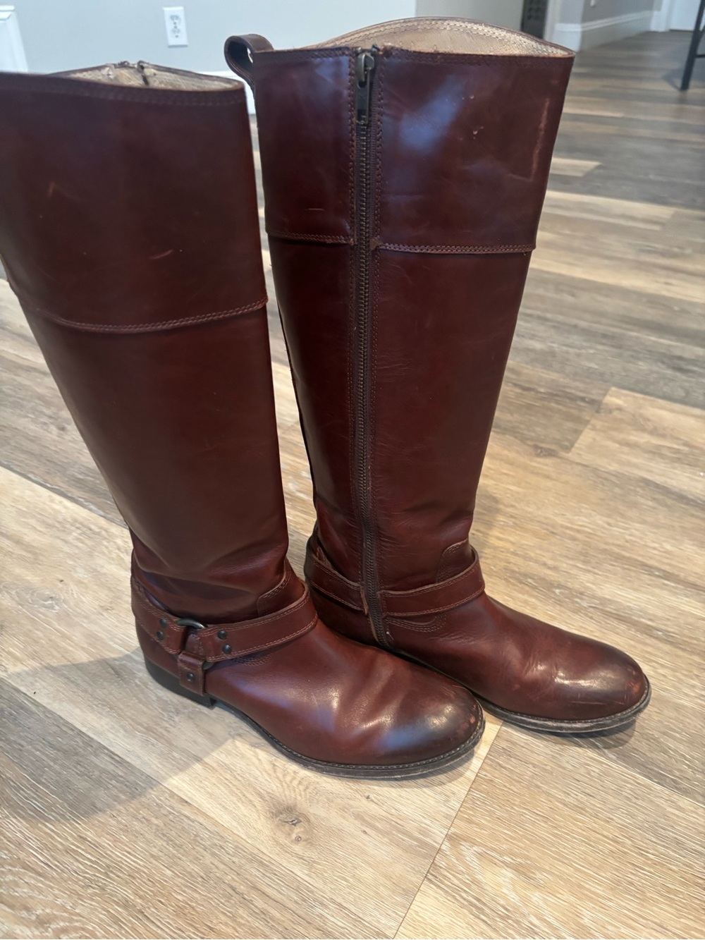 FRYE AND CO. Tall Leather Riding Boots in Deep Brown